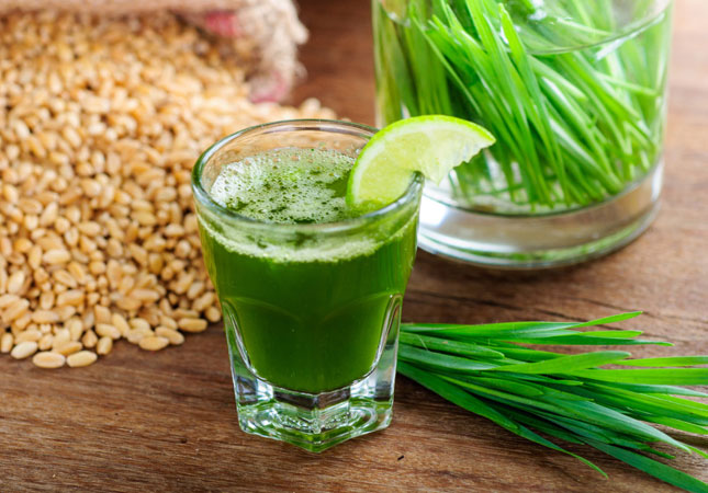 WheatGrass