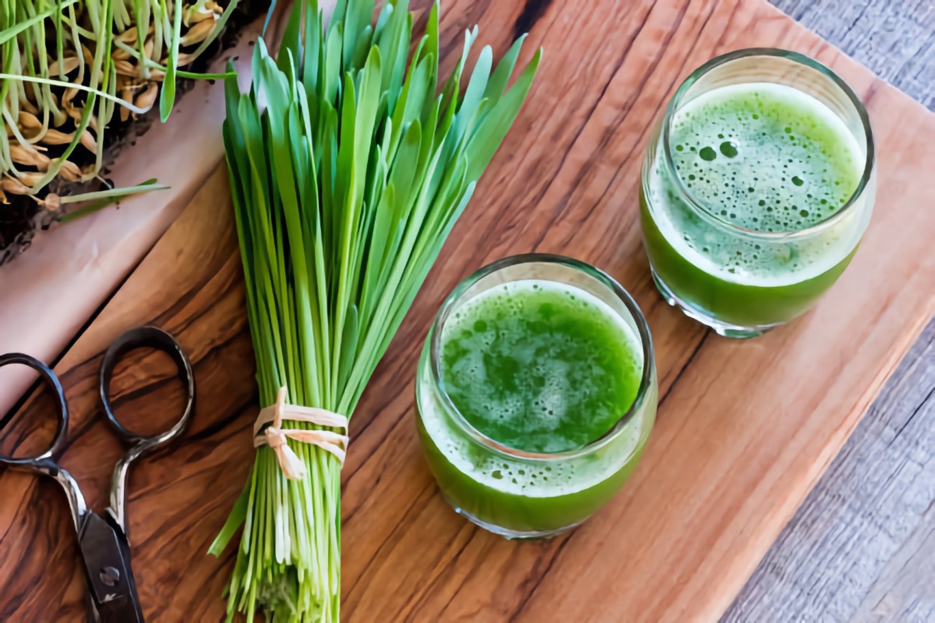 Wheatgrass Drinks